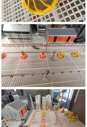 Broiler Feeding And Drinking Line,Wiremesh,Panel Mesh