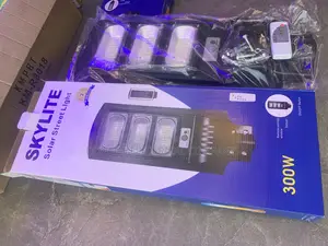 300wtts Solar Street Light
