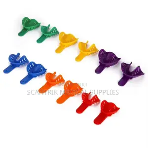 Anatomical Tray for Dental Mold