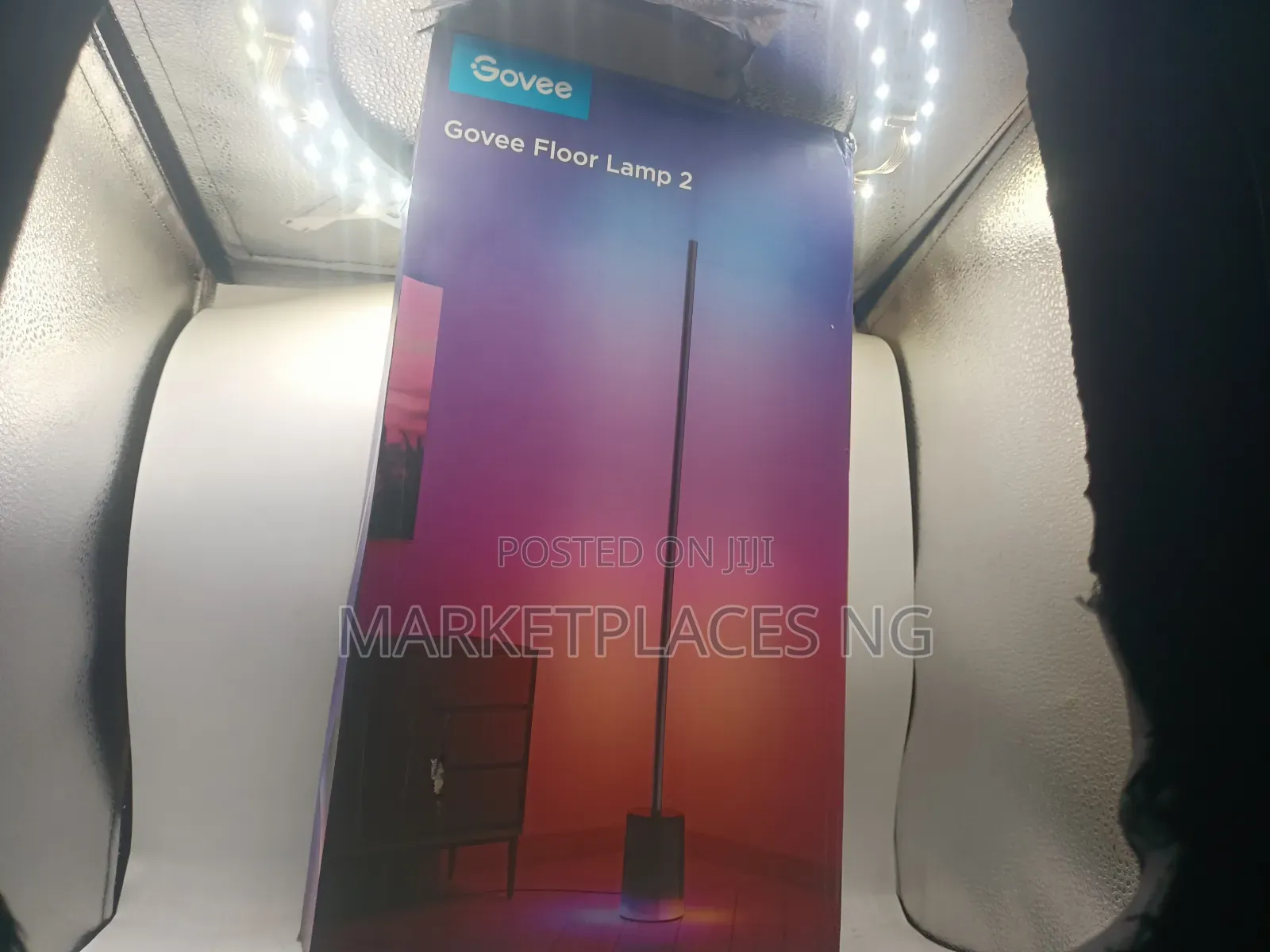 Govee Floor Lamp 2