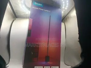 Govee Floor Lamp 2