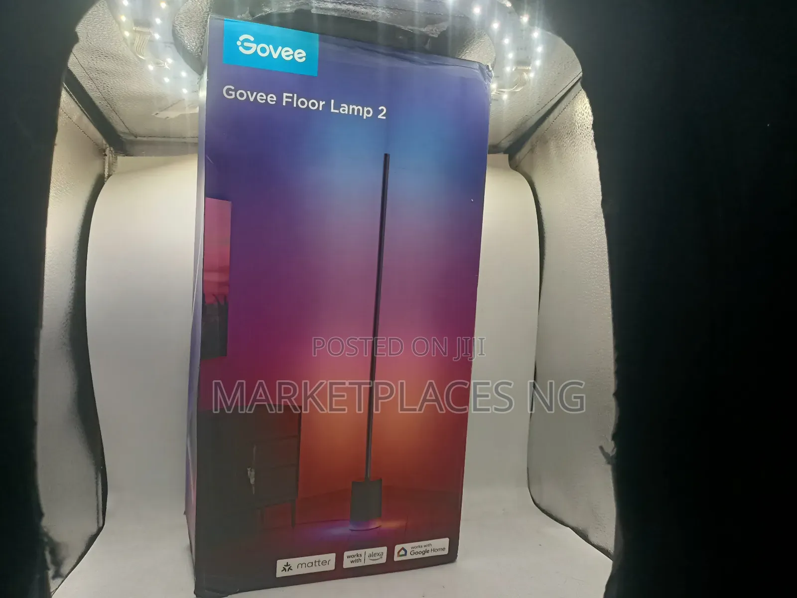 Govee Floor Lamp 2