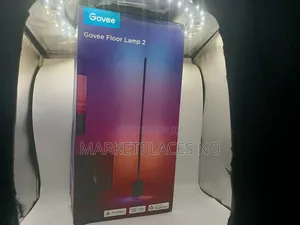 Govee Floor Lamp 2