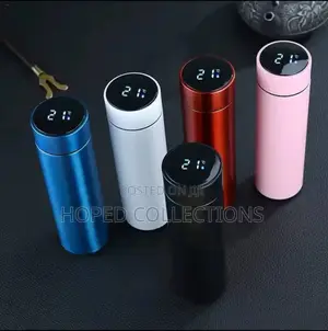 Stainless Steel Thermo Bottle