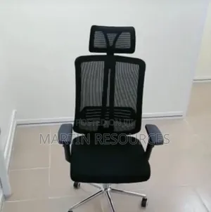 Office Chair for Back Pain