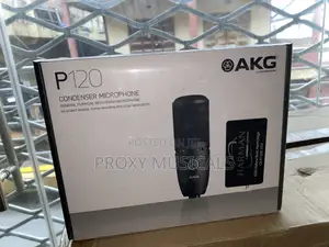 Akg P120 Studio Condenser Microphone