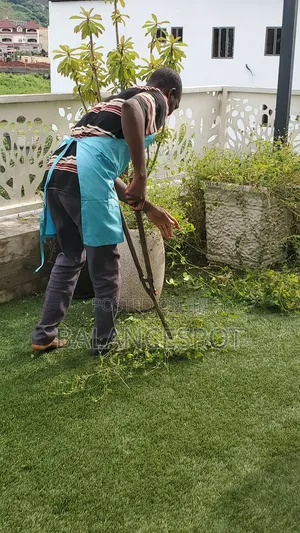 Garden Cleaning and Maintenance