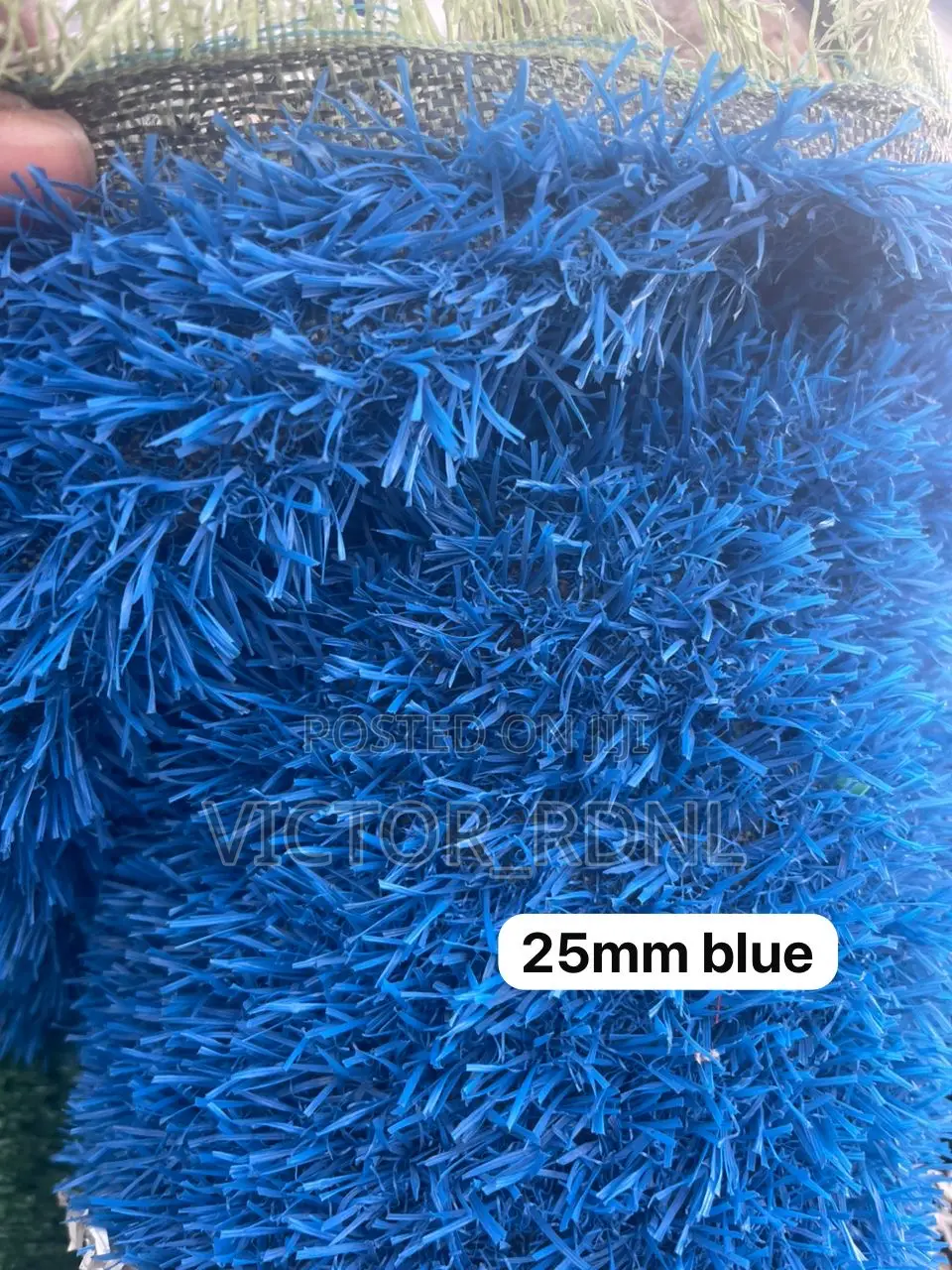 Colored Carpet Grass