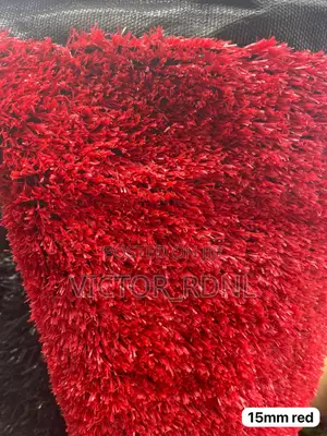 Colored Carpet Grass