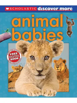 Scholastic: Animal Babies