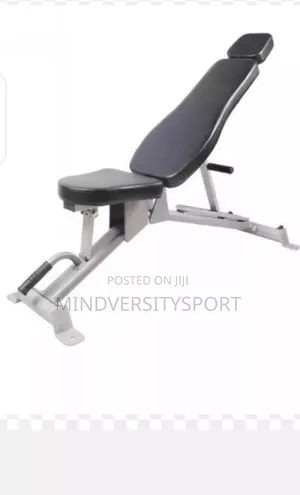 Commercial Adjustable Sit-Up Bench