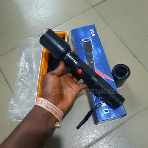 Security Torchlight