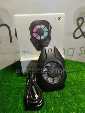 L-01 Mobile Radiator Cooling