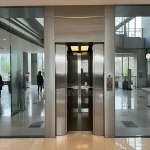 4 Person Passenger Lift Price