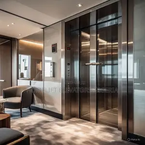 Cheap Electric Residential Passenger Elevator