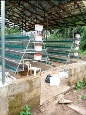 Imported Battery Cage