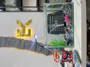 Aquarium Fish