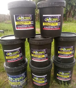 Screeding Putty and Painting Services