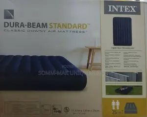 Intex Inflatable 2-3 Person Airbed 1.4lmx2.01mx25cm Wit Pump