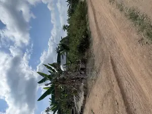 Plot of Land