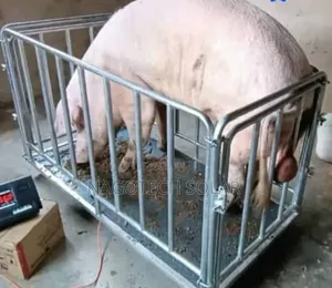 3ton Animals Digital Scale