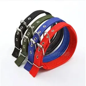 Padded Collar With Buckle (Sizes Xs–L) Dog Padded Collar