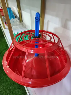 Parent Stock Indian Feeder And Drinker,Be Our Distributor