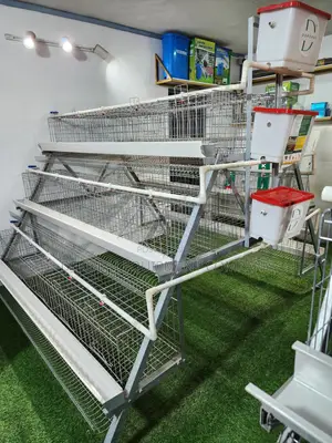 Poultry Battery Cage For Layer,Imported Chicken Raising Cage
