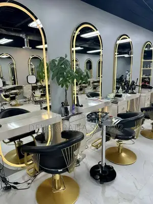 Luxury Saloon Chair
