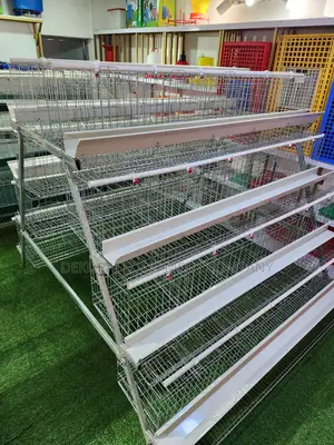 Premium Imported 160 Birds Layers Cage,Broiler Birds Cages