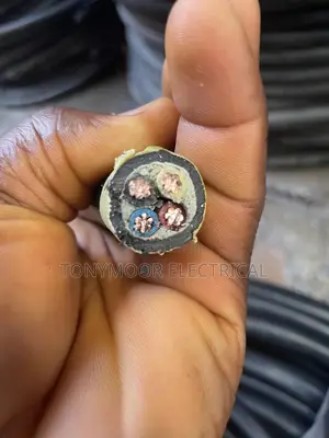 10mmx4core PVC PVC None Armored Cable