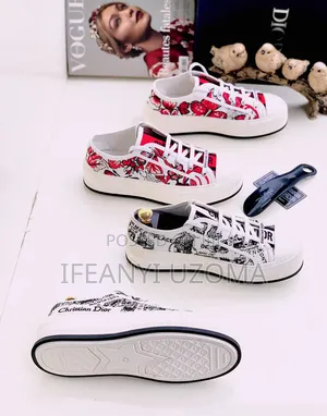 Classic Dior Luxury Designer Shoe