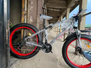 Simba Adult Bicycle