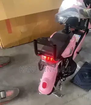 Electric Bike