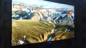 Television Screen Repair