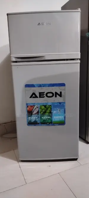 Few Months Old Almost New Aeon Neat Double Door Refrigerator