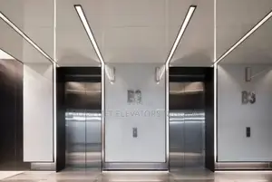 630kg Commercial Passenger Elevator
