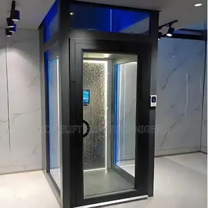 Modern Design External Passenger Capsule Elevauor