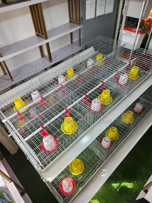 300 Birds Imported Cage – Reduces Mortality By 99%