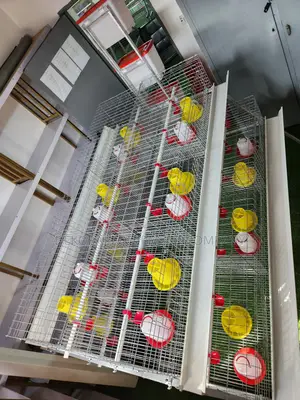 300 Birds Imported Brooding Cage – No Deep Litter Stress