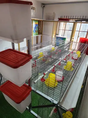300 Birds Imported Brooding Cage – 1 Labor Handles 5k Birds