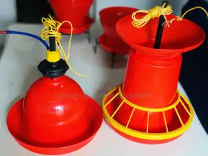 The Main Indian Bell Drinker And Feeders For High Roi Lovers