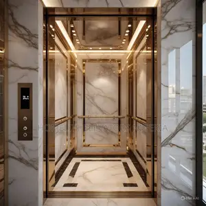 Multiple Automatic Home Elevator