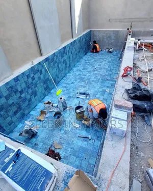 Swimming Pool Professional