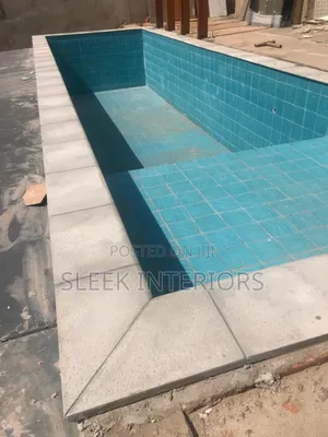 Swimming Pool Doctor