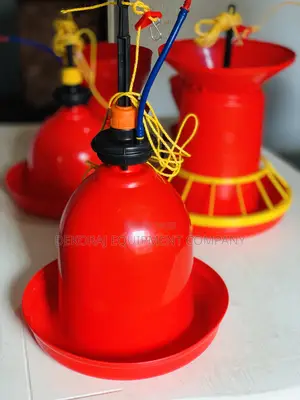 Jumbo Nova Indian Bell Drinker For Quality &High Roi Lovers