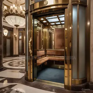 Ensures Visibility and Safe Home Elevator