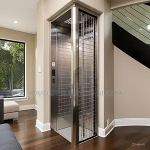 Reliable Homelift Elevators for Maintenance
