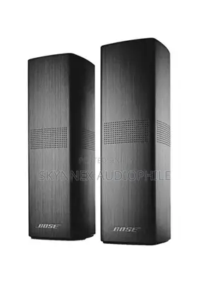 Bose 700 Surround Speaker