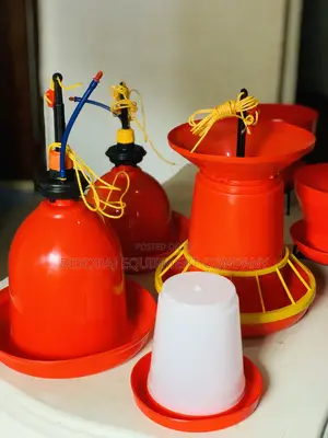 Indian 3kg Drinker For Quality Lovers